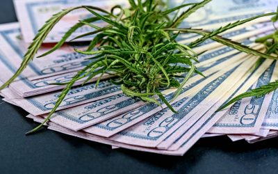 The Economics of Legalization